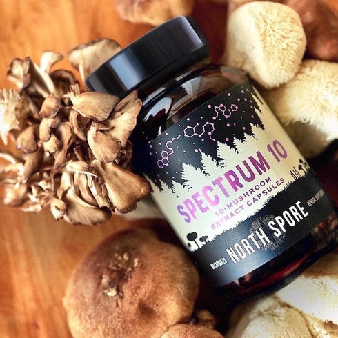 Organic ‘Spectrum 10’ Mushroom Capsules (High Potency)